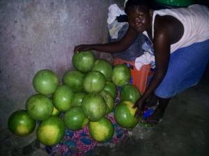 10848530_695185703937249_8864661725494817825_o